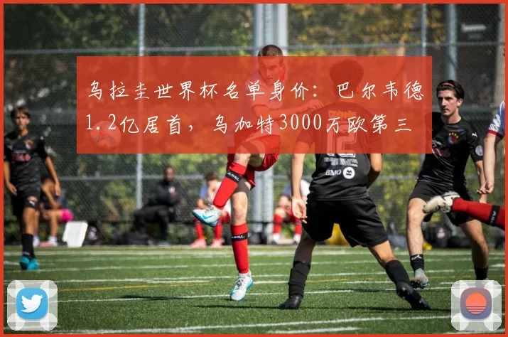 乌拉圭世界杯名单身价：巴尔韦德1.2亿居首，乌加特3000万欧第三